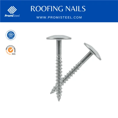 Scriú Tairní Roofing Shank